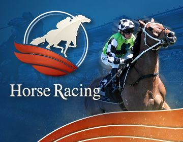 Horse Racing Book